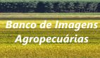 Banco de Imagens Agropecuárias